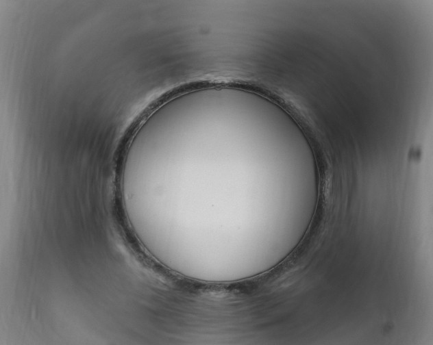 X0000111910540200907271037