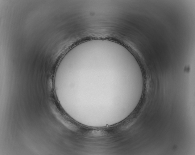 X0000111910541200907271037