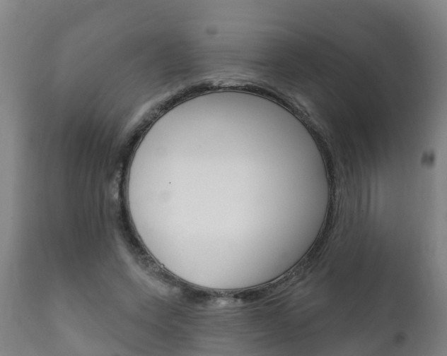 X0000111910543200907271037