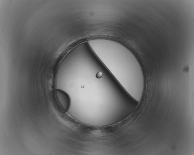X0000111910544200907271037