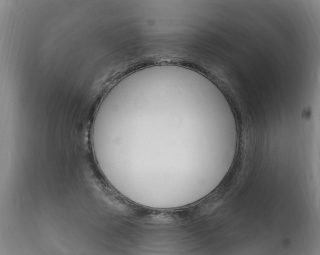 X0000111910545200907271037