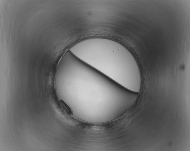 X0000111910546200907271037