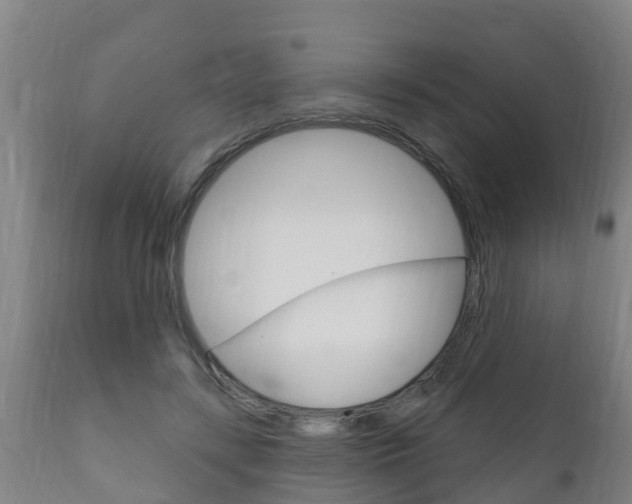 X0000111910547200907271037