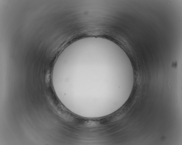 X0000111910549200907271037