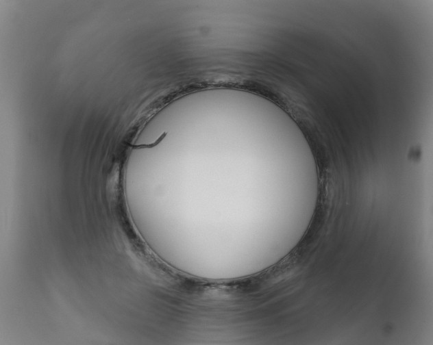 X0000111910550200907271037