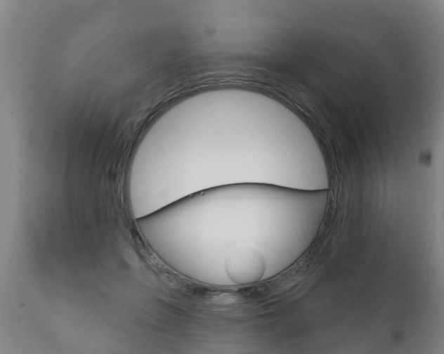 X0000111910551200907271037