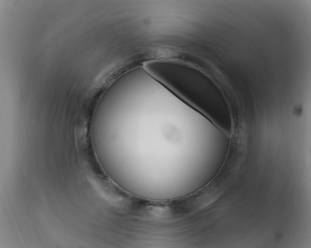 X0000111910552200907271037