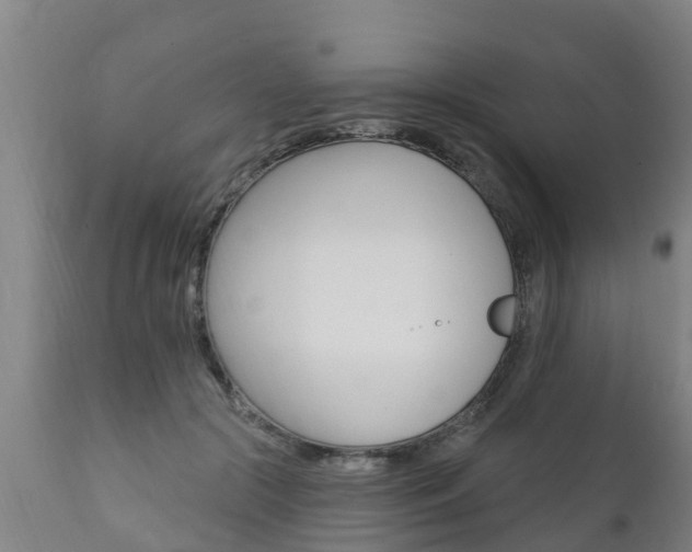 X0000111910553200907271037