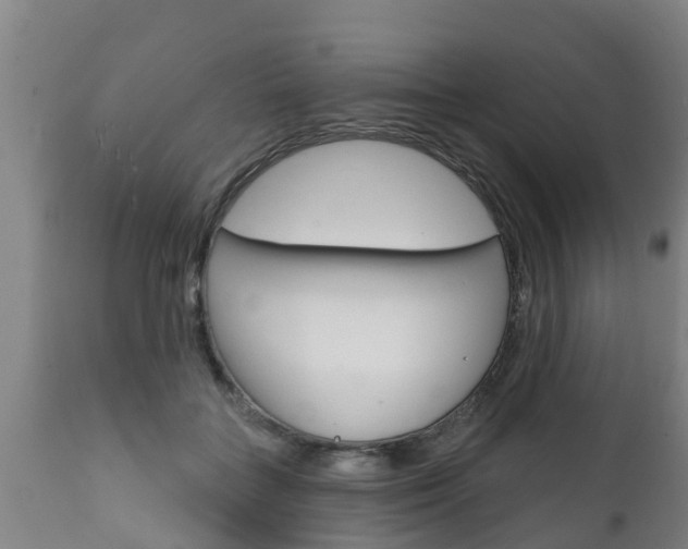 X0000111910555200907271037