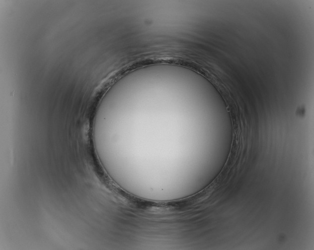 X0000111910556200907271037