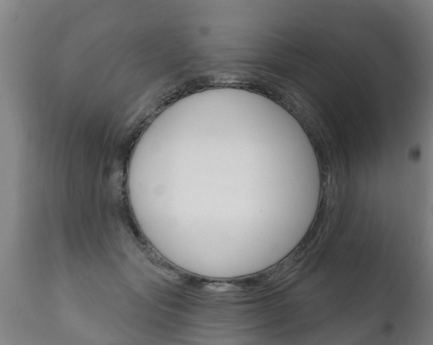 X0000111910557200907271037