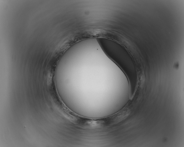 X0000111910558200907271037