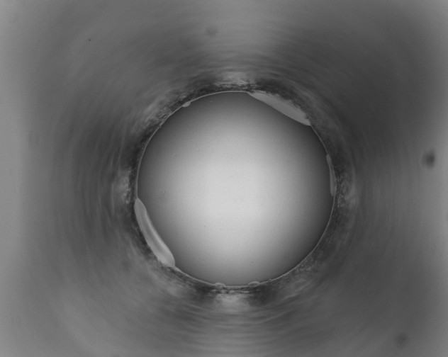 X0000111910560200907271037