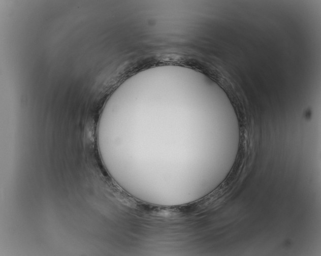 X0000111910561200907271037