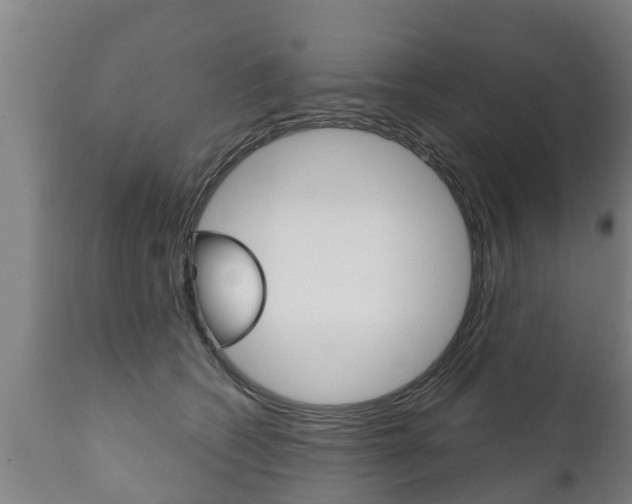 X0000111910562200907271037