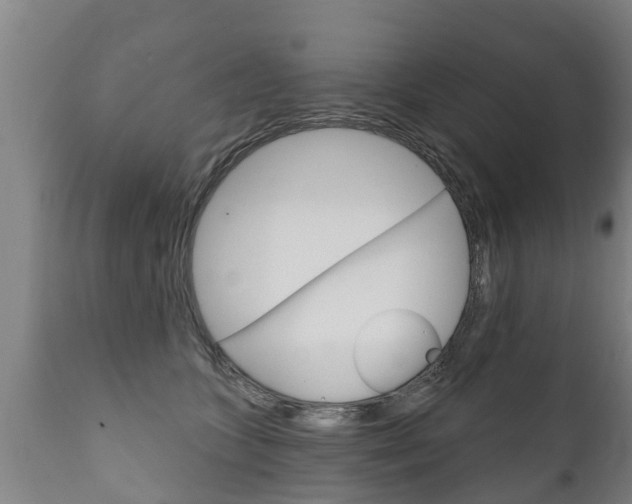 X0000111910563200907271037