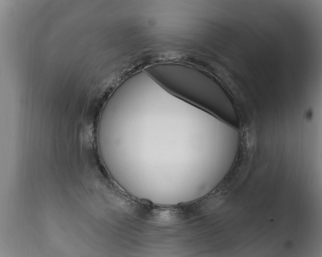 X0000111910564200907271037