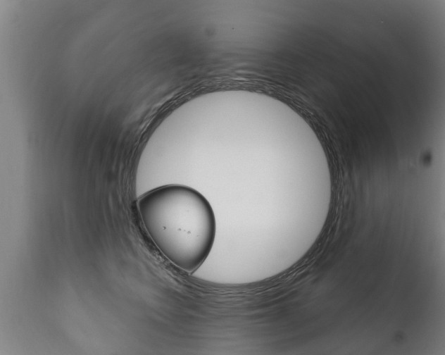 X0000111910566200907271038