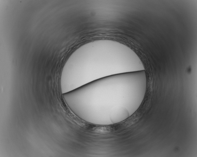 X0000111910567200907271038