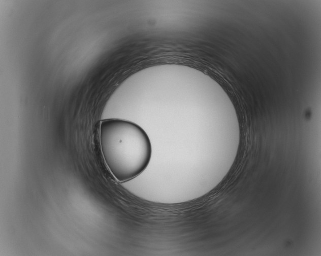X0000111910572200907271038