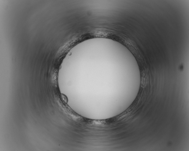 X0000111910573200907271038