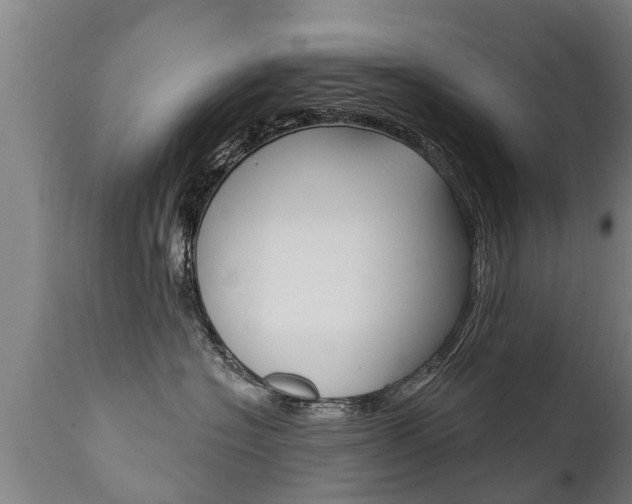 X0000111910574200907271038