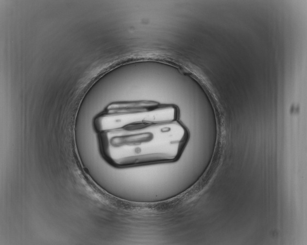 X0000111910577200907271037