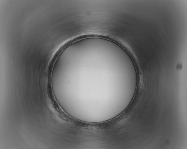 X0000111910580200907271037
