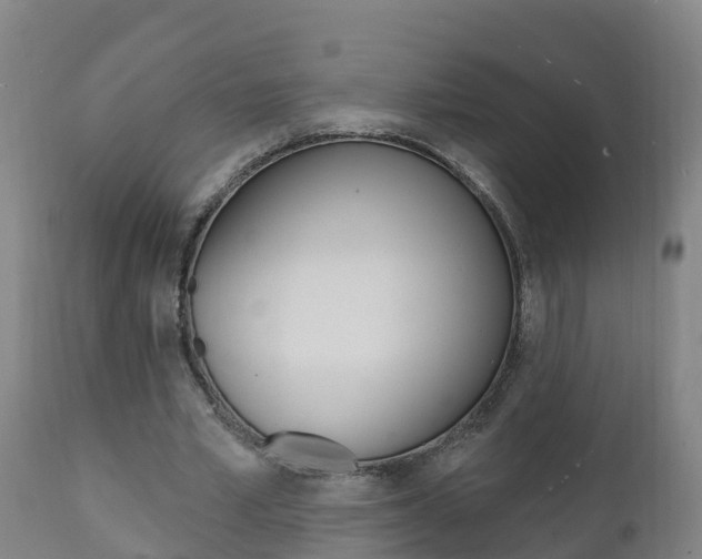 X0000111910581200907271037