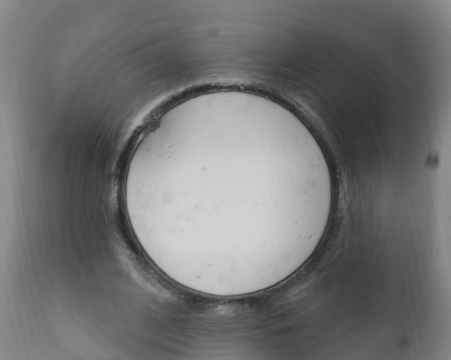 X0000111910584200907271037
