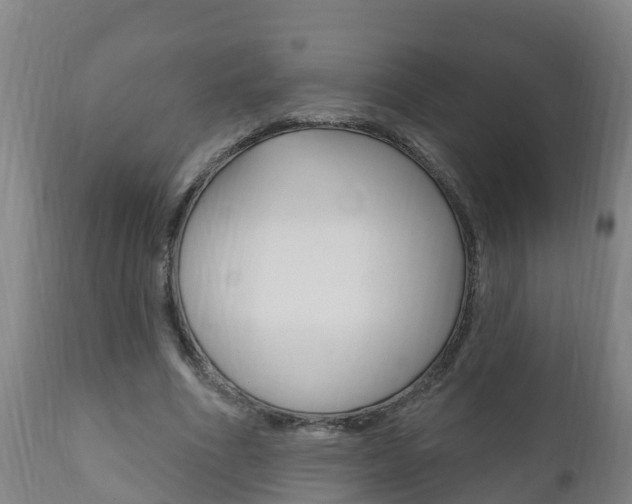 X0000111910586200907271037