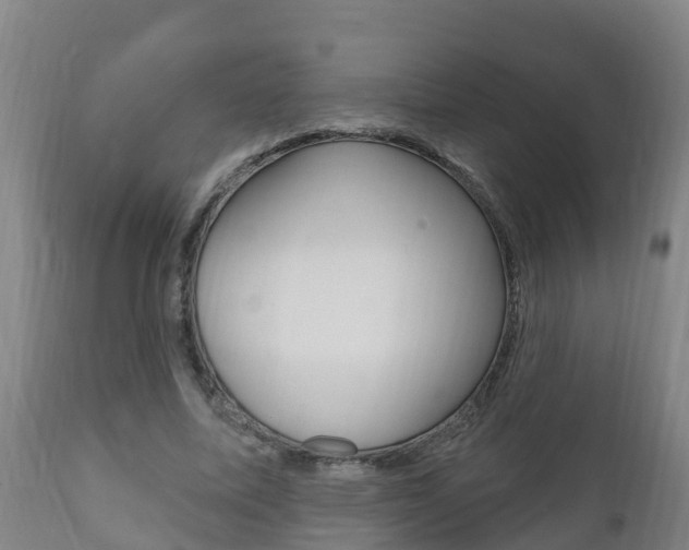 X0000111910587200907271037