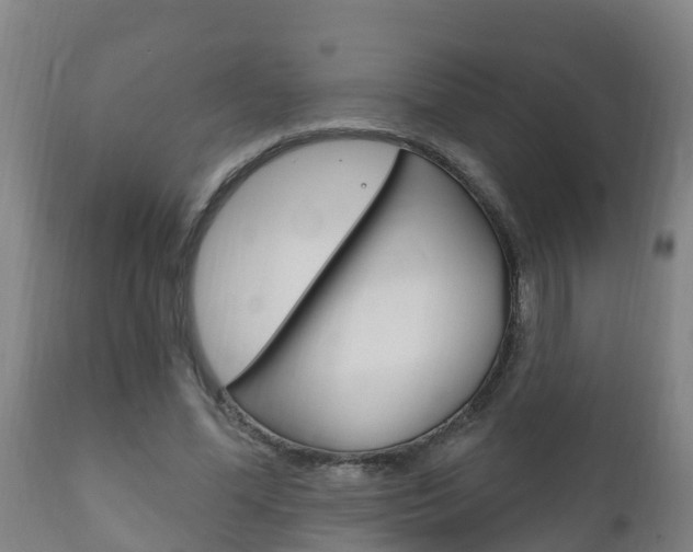 X0000111910588200907271037