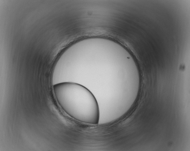 X0000111910589200907271037