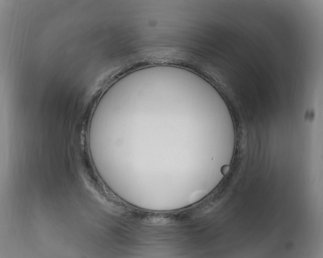 X0000111910590200907271037