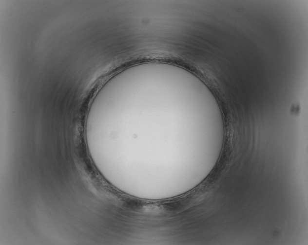 X0000111910591200907271037