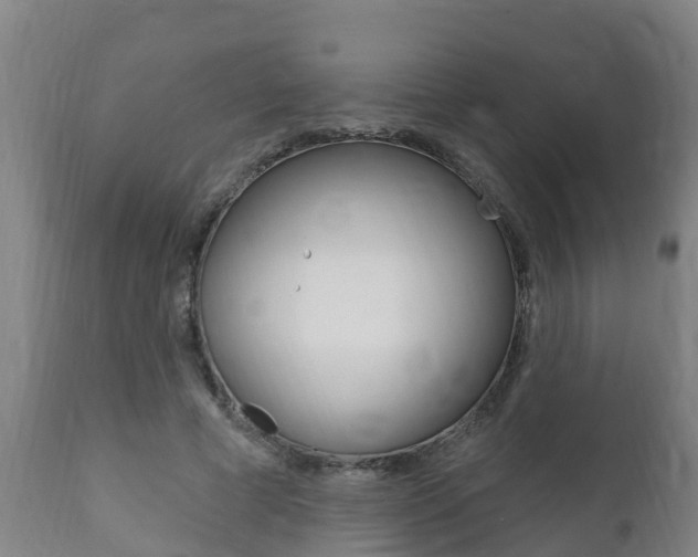 X0000111910593200907271037