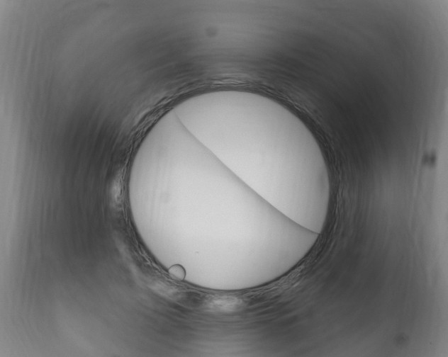 X0000111910595200907271037