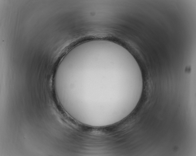 X0000111910596200907271037