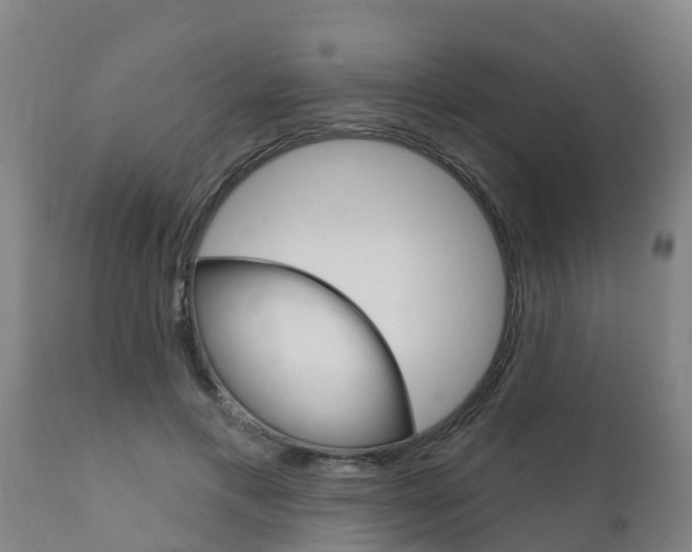 X0000111910597200907271037