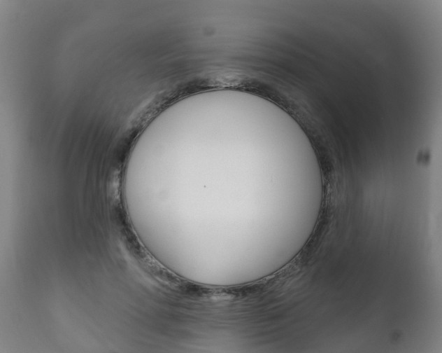 X0000111910598200907271037