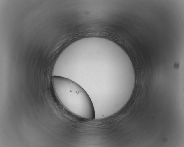 X0000111910599200907271037