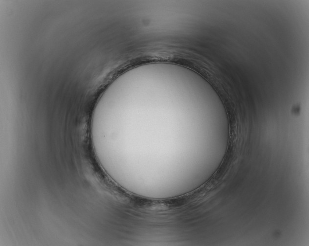 X0000111910600200907271037