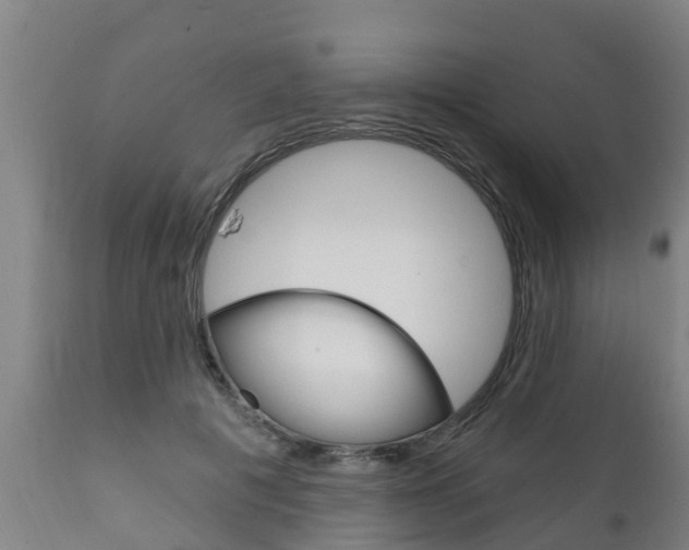 X0000111910601200907271036