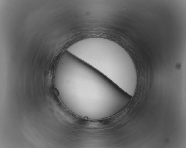 X0000111910605200907271036