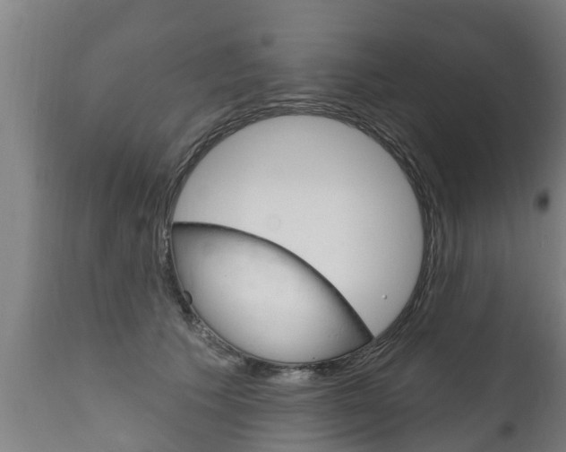 X0000111910609200907271036