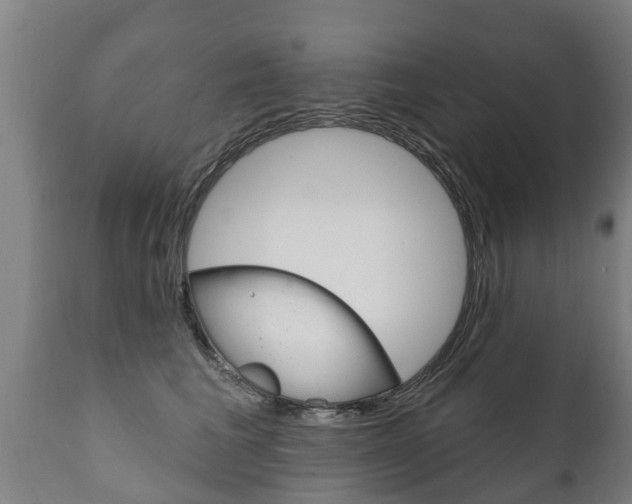 X0000111910613200907271036