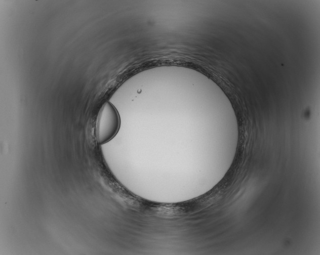 X0000111910615200907271036