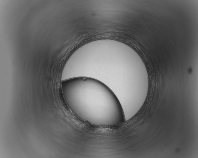 X0000111910617200907271036