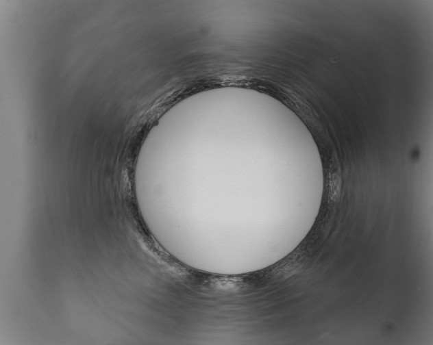 X0000111910618200907271036